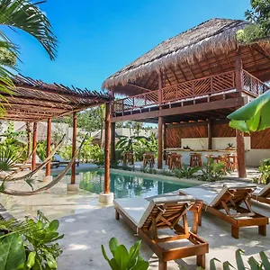 zenses-wellness-and-yoga-resort-adults-only.tulum-hotels.net/